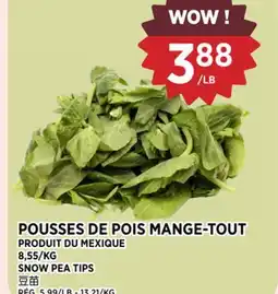 Kim Phat SNOW PEA TIPS offer