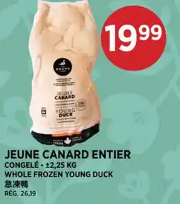 Kim Phat CONGELÉ - WHOLE FROZEN YOUNG DUCK offer