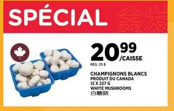 Kim Phat White Mushrooms offer