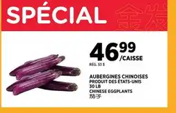 Kim Phat CHINESE EGGPLANTS offer