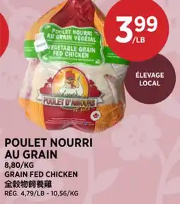 Kim Phat GRAIN FED CHICKEN offer