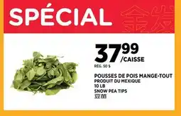 Kim Phat SNOW PEA TIPS offer