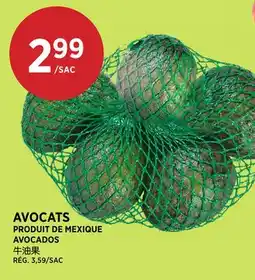 Kim Phat AVOCADOS offer