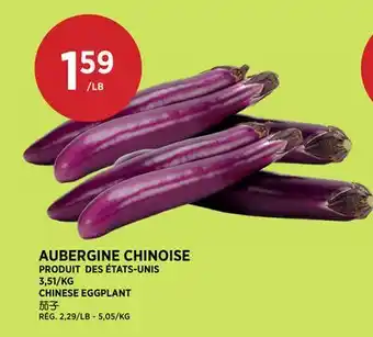 Kim Phat CHINESE EGGPLANT offer