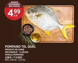 Kim Phat WHOLE POMPANO offer