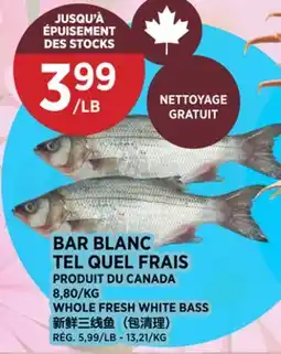Kim Phat WHOLE FRESH WHITE BASS offer