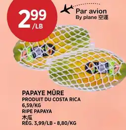 Kim Phat RIPE PAPAYA offer
