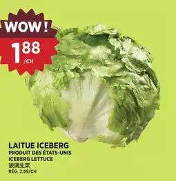 Kim Phat ICEBERG LETTUCE offer