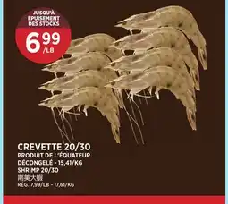 Kim Phat SHRIMP 20/30 offer