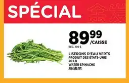 Kim Phat WATER SPINACHS offer