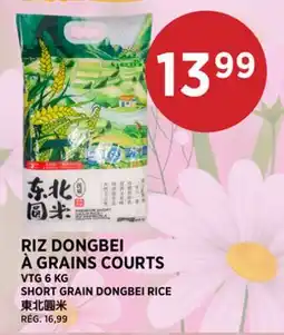 Kim Phat VTG SHORT GRAIN DONGBEI RICE offer