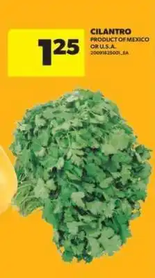 Real Canadian Superstore CILANTRO offer