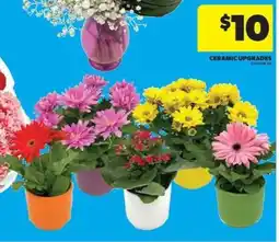 Real Canadian Superstore Ceramic Upgrades offer