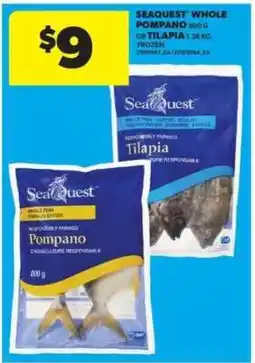 Real Canadian Superstore Seaquest Whole Pompano or Tilapia offer