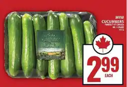 Food Basics MINI CUCUMBERS offer