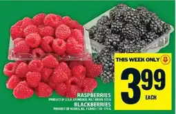 Food Basics Raspberries and Blackberries offer