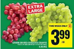 Food Basics GREEN or RED SEEDLESS GRAPES offer