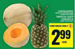 Food Basics Cantaloupes and Tropical Gold Pineapple offer