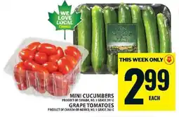 Food Basics Mini Cucumbers or Grape Tomatoes offer