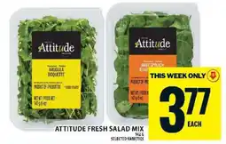 Food Basics Attitude Fresh Salad Mix offer