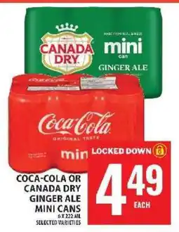 Food Basics Coca-Cola or Canada Dry Ginger Ale Mini Cans offer