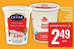Food Basics Hans Dahi, Phoenicia or Cedar Yogurt offer