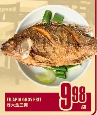 Marché Lian Tai TILAPIA GROS FRIT offer