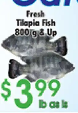 Danforth Food Market Fresh Tilapia Fish offer