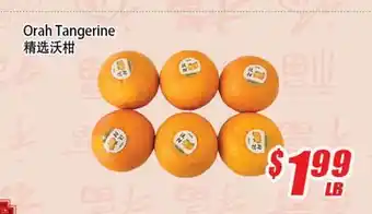 WinCo Food Mart Orah Tangerine offer