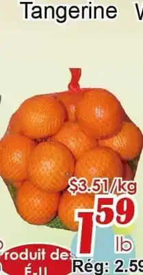 Marche C&T Tangerine offer
