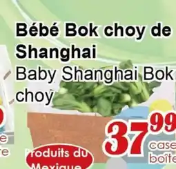Marche C&T Bébé Bok choy de Shanghai offer