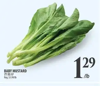 Al Premium Food Mart BABY MUSTARD offer
