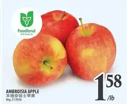 Al Premium Food Mart LOCAL AMBROSIA APPLE offer