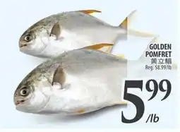 Al Premium Food Mart GOLDEN POMFRET offer