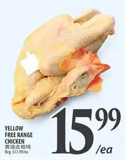 Al Premium Food Mart YELLOW FREE RANGE CHICKEN offer