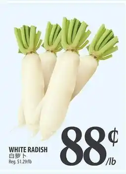 Al Premium Food Mart WHITE RADISH offer