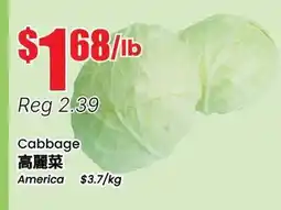 Btrust Supermarket Cabbage offer