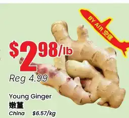 Btrust Supermarket Young Ginger offer