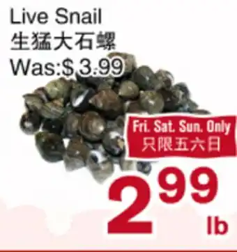 First Choice Supermarket Live Snail offer