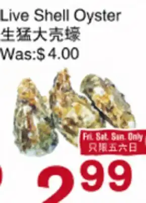 First Choice Supermarket Live Shell Oyster offer