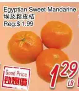 Foody Mart Egyptian Sweet Mandarine offer