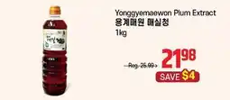 Galleria Supermarket Yonggyemaewon Plum Extract offer