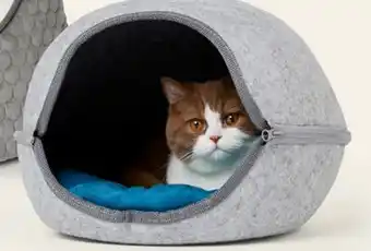 Petvalu Bailey & Bella Felt Shell Chalet Grey Cat Bed offer