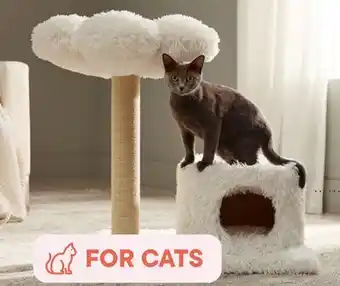 Petvalu JUMP! Delilah Cat Tree with Condo offer