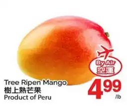 T&T Supermarket TREE RIPEN MANGO offer