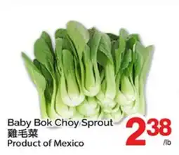 T&T Supermarket BABY BOK CHOY SPROUT offer