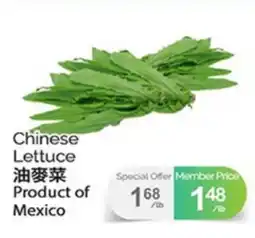 T&T Supermarket CHINESE LETTUCE offer