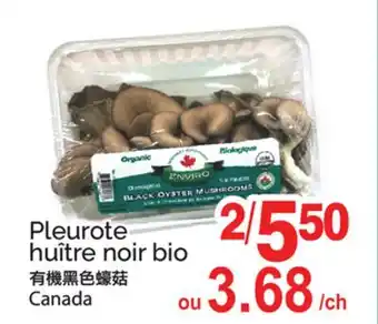 T&T Supermarket PLEUROTE HUÎTRE NOIR BIO offer