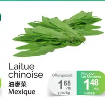 T&T Supermarket LAITUE CHINOISE offer