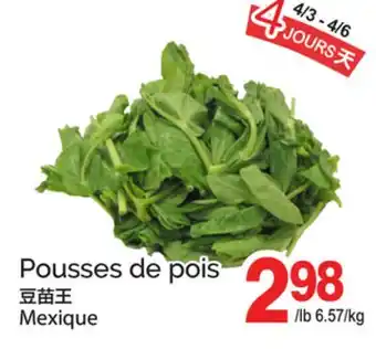 T&T Supermarket POUSSES DE POIS offer